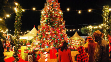 تلنگانہ اور آندھرا پردیش میں کرسمس تہوار کا روایتی مذہبی جوش وخروش