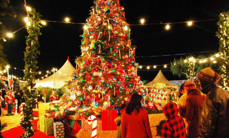 تلنگانہ اور آندھرا پردیش میں کرسمس تہوار کا روایتی مذہبی جوش وخروش