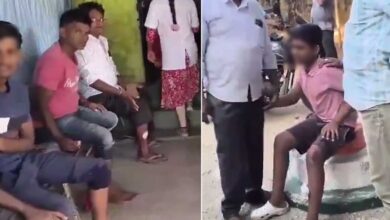 تلنگانہ کے آمنگل میں پاگل کتے کی دہشت، 36 افراد کو کاٹ کر زخمی کردیا