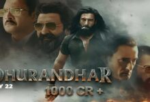 دھرندھر 2025 کی سب سے زیادہ کمائی کرنے والی فلم بھی بن گئی ہے