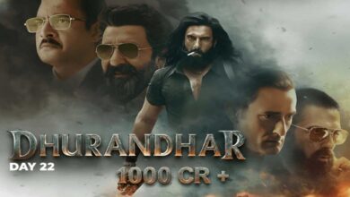 دھرندھر 2025 کی سب سے زیادہ کمائی کرنے والی فلم بھی بن گئی ہے
