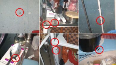 نیلوفر ہاسپٹل کی حالت بد سے بدتر، آئی سی یو میں معصوم بچوں کے گرد گھوم رہے ہیں کاکروچ، والدین خوفزدہ