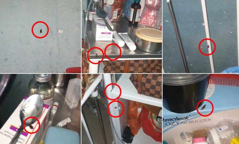 نیلوفر ہاسپٹل کی حالت بد سے بدتر، آئی سی یو میں معصوم بچوں کے گرد گھوم رہے ہیں کاکروچ، والدین خوفزدہ