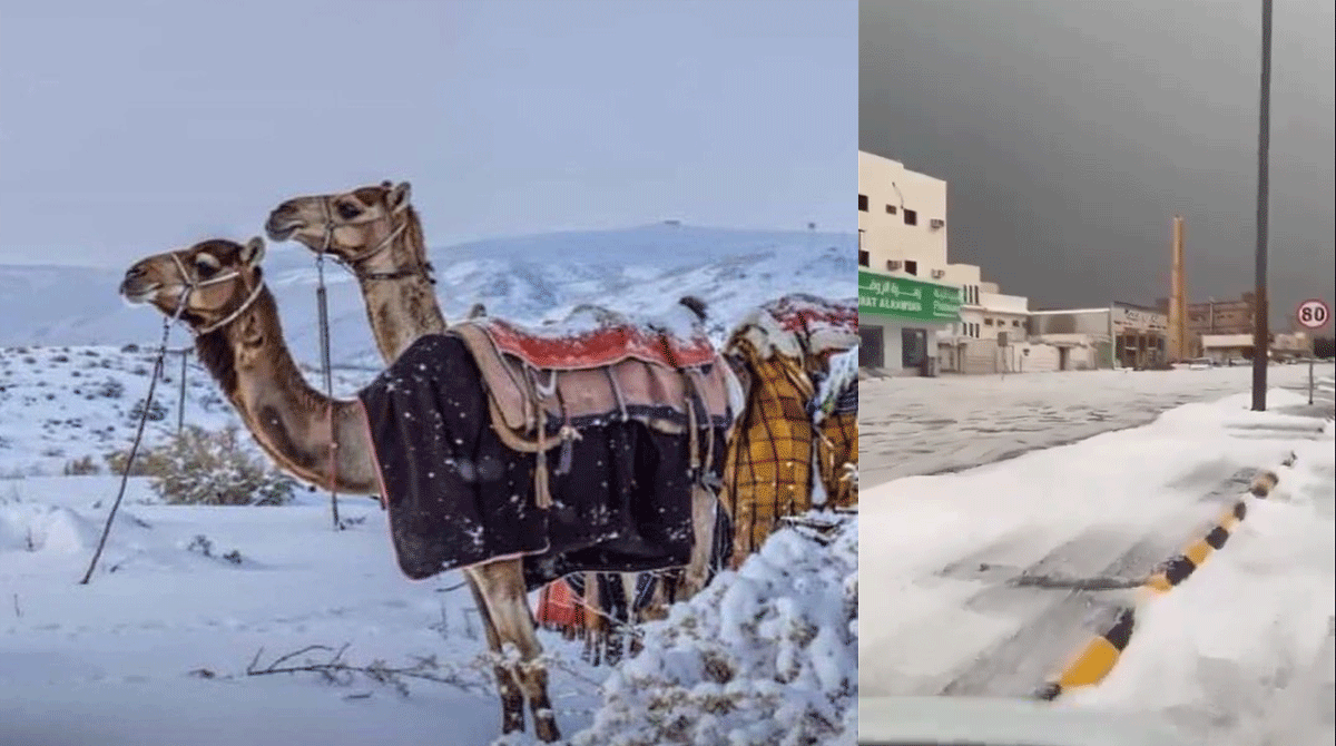 سعودی عرب اور قطر میں غیرمتوقع برفباری، کئی علاقوں میں شدید سردی اور بارش