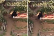 کریم نگر میں دل دہلا دینے والا منظر، ماں کی موت کا صدمہ، بیٹی تین دن سے قبرستان میں، گھر جانے سے کیا انکار: ویڈیو