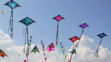 تلنگانہ اور آندھرا پردیش میں پتنگ بازی کا جوش و خروش عروج پر