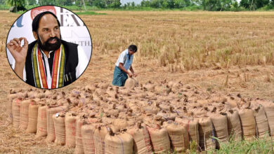 تلنگانہ نے تقریباً 71 لاکھ ٹن دھان کی خریداری کر کے نیا تاریخی ریکارڈ قائم کیا