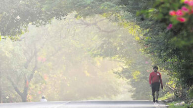 تلنگانہ کےدرجہ حرارت میں اضافہ