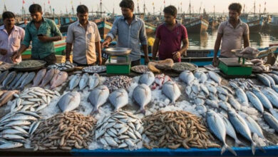 مچھلی کی قیمت میں غیرمعمولی اضافہ