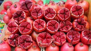 انار کی قیمتوں میں ریکارڈ توڑ اضافہ: کسانوں کے چہروں پر مسکراہٹ، فی ٹن قیمت دو لاکھ روپے تک پہنچ گئی