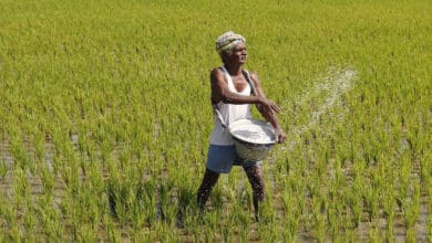 ایپ سے یوریا کی بکنگ، کھاد کی کالابازاری روکی جاسکے گی