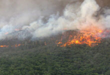 مغربی آسٹریلیا کے جنگلوں میں زبردست آگ، سڑکیں بند، آبادیوں کو انخلا کا حکم