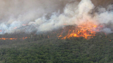 مغربی آسٹریلیا کے جنگلوں میں زبردست آگ، سڑکیں بند، آبادیوں کو انخلا کا حکم