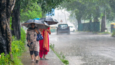 پنجاب اور چنڈی گڑھ میں بارش سے موسم بدلا، سردی میں ہوا نمایاں اضافہ