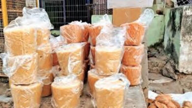 تلنگانہ: میڈارم جاترا۔گڑ کی قیمتوں میں زبردست اضافہ