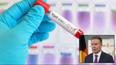 آسٹریلیا میں نپاہ وائرس پر کڑی نظر: وزیر صحت