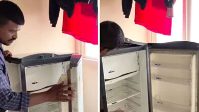 اے پی کے وشاکھاپٹنم میں گھر کی منتقلی کے دوران فریج سے سانپ نکلنے سے سنسنی