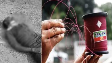 سنکرانتی کے موقع پر چائنیز مانجھے نے لی ایک اور جان، سنگاریڈی میں بائک سوار گلا کٹنے سے ہلاک