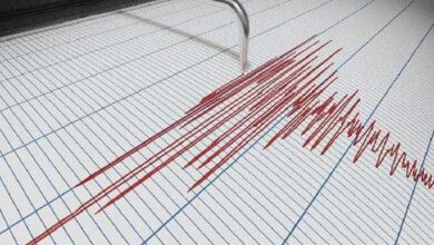 شمال مشرقی ہندوستان میں زلزلے کے شدید جھٹکے