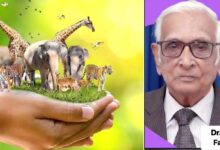 حیوانات انسانوں کے مانند جماعتیں ہیں، حیاتیاتی تنوع کی حفاظت اسلامی ذمہ داری