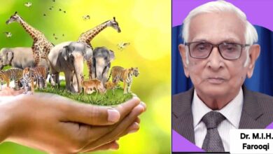 حیوانات انسانوں کے مانند جماعتیں ہیں، حیاتیاتی تنوع کی حفاظت اسلامی ذمہ داری