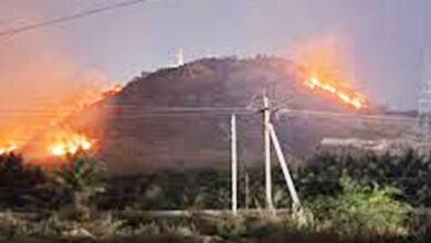 بتایا جا رہا ہے کہ رات کے وقت نامعلوم افراد نے خشک گھاس کو آگ لگا دی، جس نے دیکھتے ہی دیکھتے شدت اختیار کر لی۔