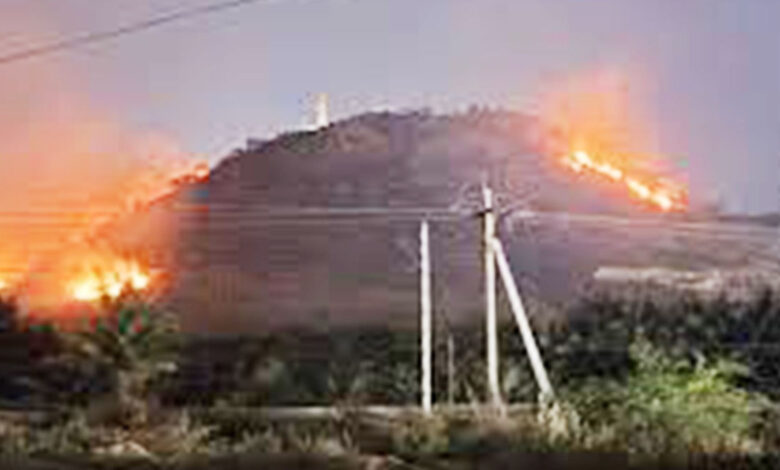 بتایا جا رہا ہے کہ رات کے وقت نامعلوم افراد نے خشک گھاس کو آگ لگا دی، جس نے دیکھتے ہی دیکھتے شدت اختیار کر لی۔