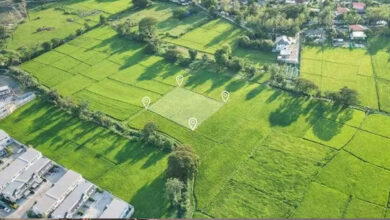 تلنگانہ میں مکانات کی تعمیر کیلئے مرکزکا گرین سگنل۔564 کروڑ روپے کی منظوری