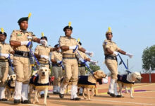 پولیس کے سراغ رساں کتوں کی پاسنگ آؤٹ پریڈ