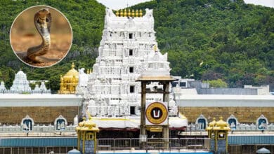 تروملا مندر میں درشن کیلئے قطار۔تلنگانہ کی خاتون کو سانپ نے ڈس لیا