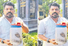 مشرقی گوداوری ضلع میں بلدیہ کے کونسل اجلاس میں کونسلر ناگ سانپ کے ساتھ پہنچ گیا