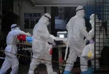 بنگلہ دیش میں مہلک نِیپاہ وائرس سے خاتون ہلاک