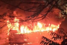 مغربی دہلی کے وکاس پوری علاقے میں بس میں لگی آگ، ایک شخص زندہ جل کر ہلاک