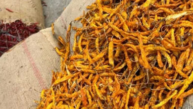 تلنگانہ اور اے پی میں زردمرچ کاراج۔ قیمت 35,000 سے 42,000 روپے فی کوئنٹل