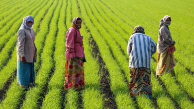آندھرا میں آبی منصوبوں کا سنہری دور: 18 ماہ میں اربوں کے فنڈز، کسانوں کے لئے بڑی خوشخبری