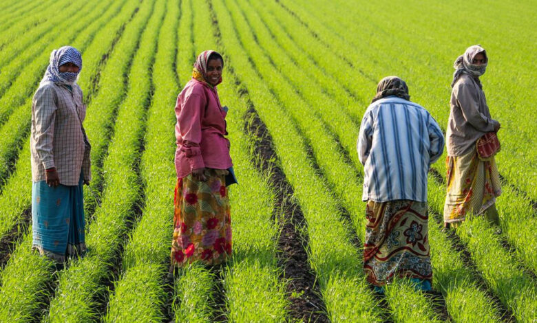 آندھرا میں آبی منصوبوں کا سنہری دور: 18 ماہ میں اربوں کے فنڈز، کسانوں کے لئے بڑی خوشخبری