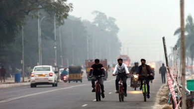 آندھرا پردیش اور تلنگانہ میں سردی کی شدت میں نمایاں کمی