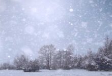 پولینڈ میں موسمِ سرماکی شدید سردی کے باعث 50 سے زائد افراد ہلاک