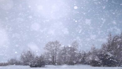 پولینڈ میں موسمِ سرماکی شدید سردی کے باعث 50 سے زائد افراد ہلاک