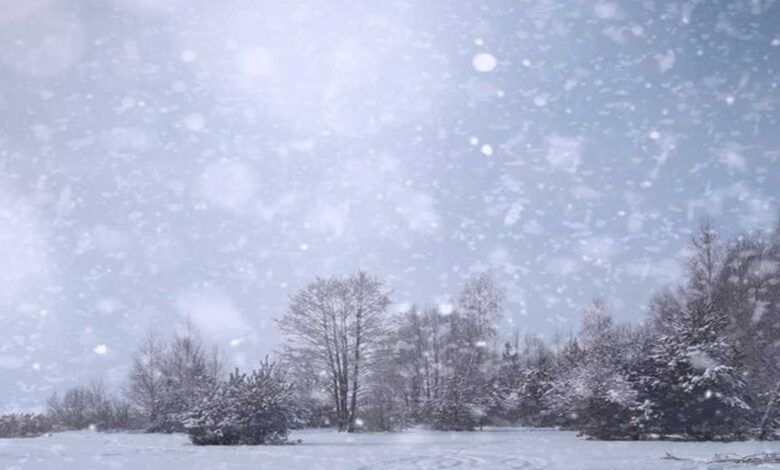 پولینڈ میں موسمِ سرماکی شدید سردی کے باعث 50 سے زائد افراد ہلاک