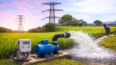 آندھرا پردیش کے کسانوں کے لئے حکومت نے 46,113 نئے زرعی بجلی کنکشنوں کی منظوری دے دی