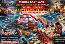 مشرقِ وسطیٰ کی جنگ: تلگو ریاستوں کے ایکوا اور پولٹری سکٹرس پر تباہی کے بادل، کروڑوں کا نقصان