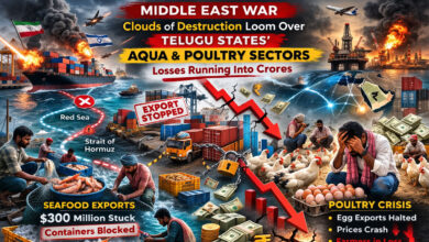 مشرقِ وسطیٰ کی جنگ: تلگو ریاستوں کے ایکوا اور پولٹری سکٹرس پر تباہی کے بادل، کروڑوں کا نقصان