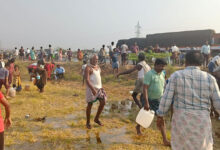 ٹی ٹی ڈی کا ٹینکر الٹ گیا، مقامی افراد نے 21 ہزار لیٹر گھی لوٹ لیا