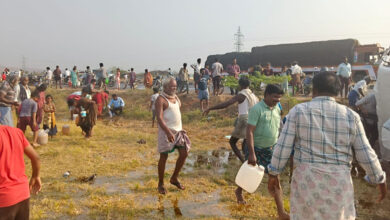 ٹی ٹی ڈی کا ٹینکر الٹ گیا، مقامی افراد نے 21 ہزار لیٹر گھی لوٹ لیا