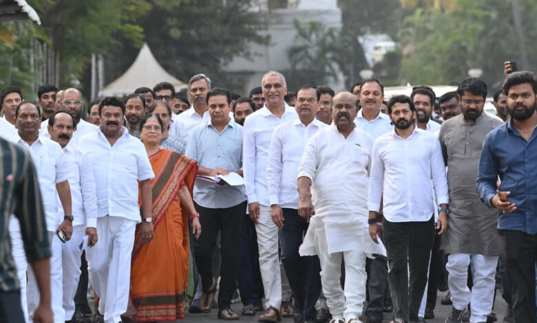 بی آر ایس ایم ایل ایز اور ایم ایل سیز کیلئے ورکشاپ کاآغاز