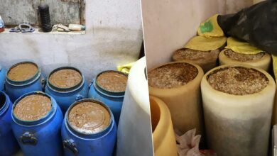 حیدرآباد میں غیر معیاری اور صحت کیلئے خطرناک اچار بنانے والا یونٹ بے نقاب، 72 ڈرم اچار ضبط