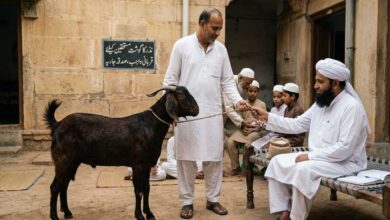 جانور کی نذر