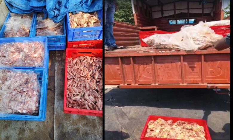 H-FAST ٹیم کی بڑی کارروائی 352 کلو خراب چکن ضبط، ملزم گرفتار