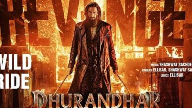 فلم دھرندھر دی ریوینج نے 339 کروڑ روپے کا بزنس کیا